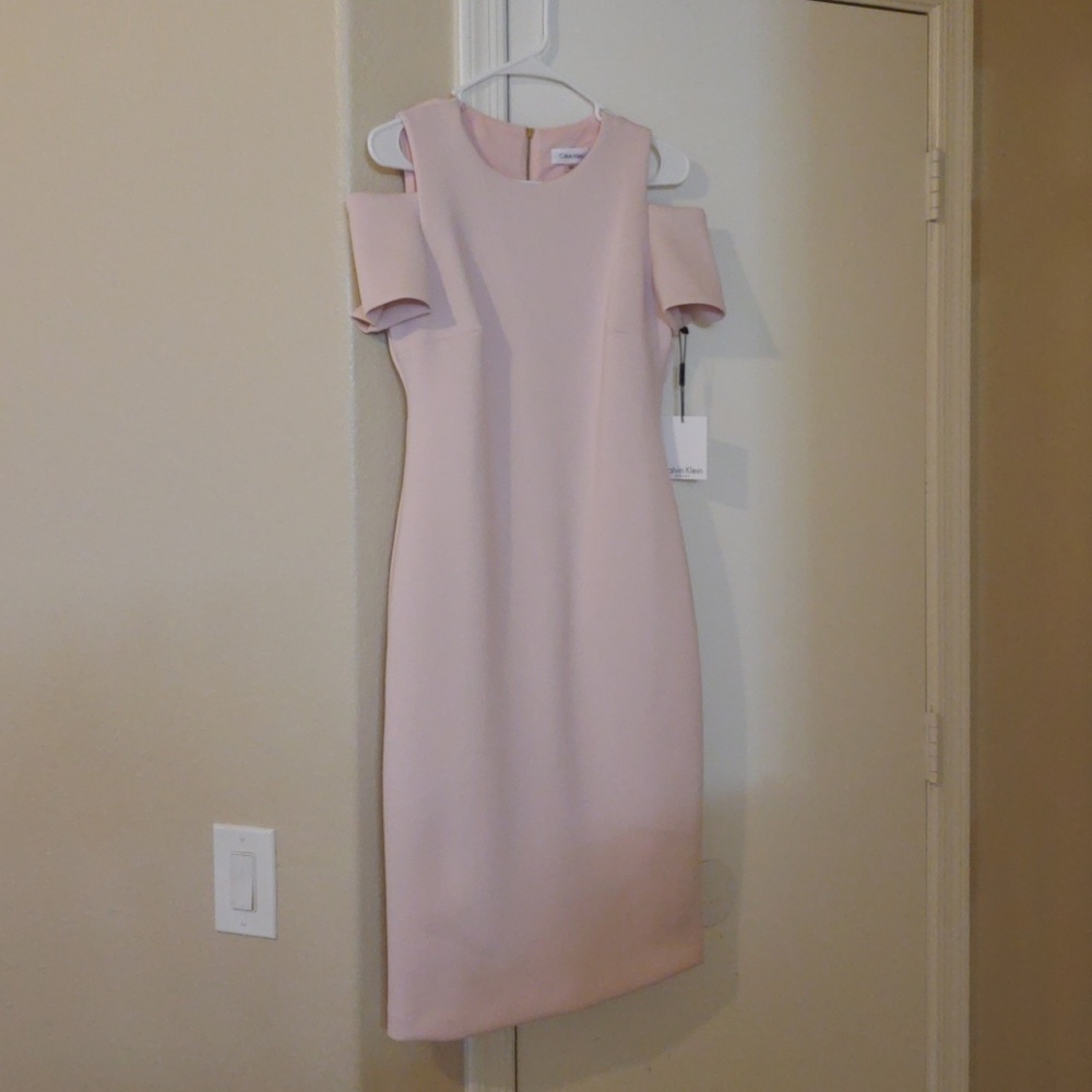 Blush Calvin Klein dress